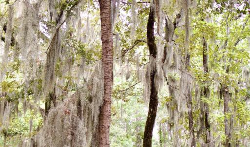 Photo #14 of 385 Sand Ridge, New Bern, NC