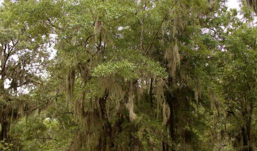 Photo #10 of 385 Sand Ridge, New Bern, NC