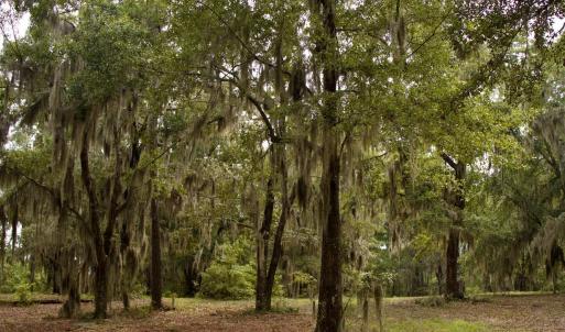 Photo #32 of 385 Sand Ridge, New Bern, NC