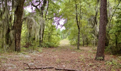 Photo #16 of 385 Sand Ridge, New Bern, NC