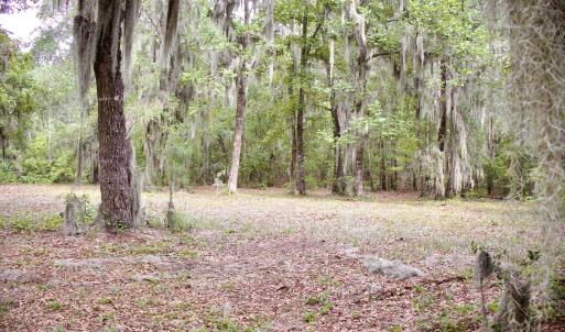 Photo #26 of 385 Sand Ridge, New Bern, NC