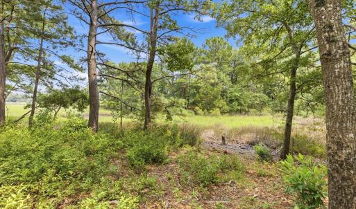 Photo #7 of 813 Gull Point, Wilmington, NC 0.8 acres