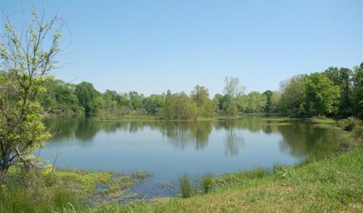 Photo #6 of 686 Railroad, North Augusta, SC 0.2 acres