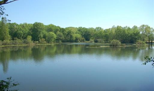 Photo #7 of 686 Railroad, North Augusta, SC 0.2 acres