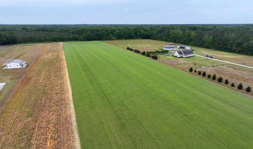 Photo #3 of 4140 Seth West, Dover, NC 10.2 acres