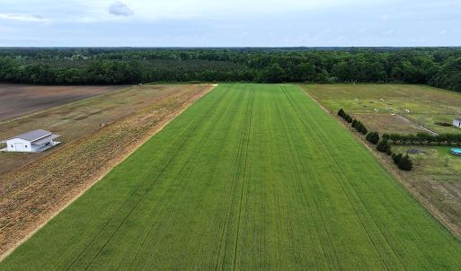 Photo #1 of 4140 Seth West, Dover, NC 10.2 acres