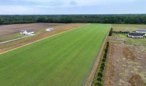 Photo #4 of 4140 Seth West, Dover, NC 10.2 acres