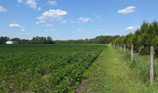 Photo #9 of 4140 Seth West, Dover, NC 10.2 acres