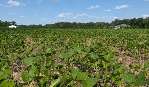 Photo #7 of 4140 Seth West, Dover, NC 10.2 acres