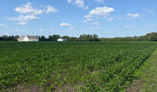 Photo #10 of 4140 Seth West, Dover, NC 10.2 acres