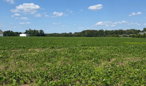 Photo #8 of 4140 Seth West, Dover, NC 10.2 acres
