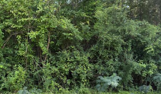 Photo #1 of 1199 Green Springs, New Bern, NC 1.2 acres