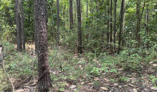 Photo #2 of 1199 Green Springs, New Bern, NC 1.2 acres