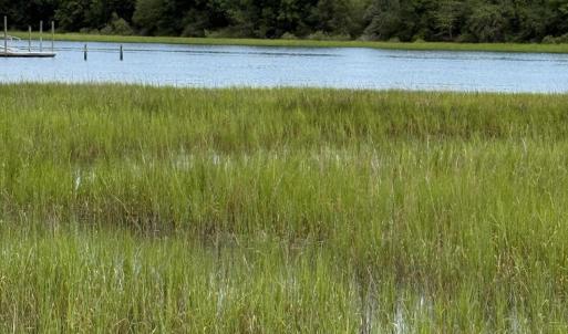 Photo #6 of 1909 Norwood, Ocean Isle Beach, NC 1.0 acres
