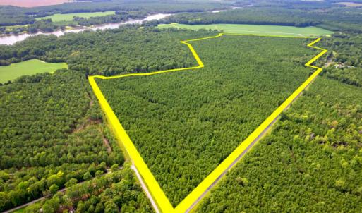Photo #5 of Lovick Lee, Oriental, NC 115.1 acres