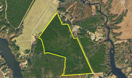 Photo #2 of Lovick Lee, Oriental, NC 115.1 acres