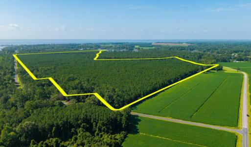 Photo #3 of Lovick Lee, Oriental, NC 115.1 acres