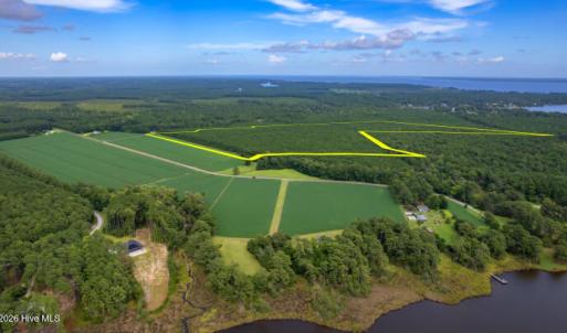 Photo #4 of Lovick Lee, Oriental, NC 115.1 acres