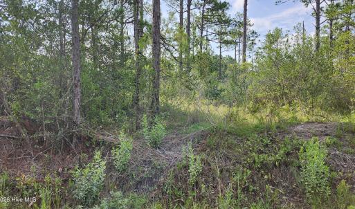 Photo #1 of Lot 452 Queens, Southport, NC 0.2 acres