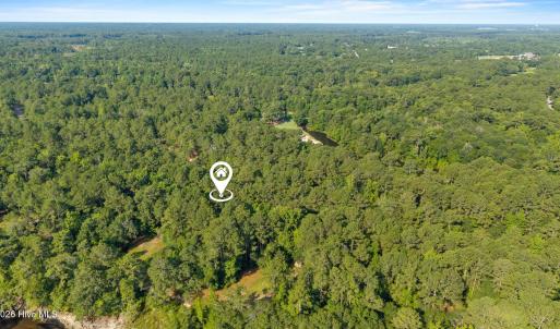 Photo #10 of 230 River Woods, Wallace, NC 0.8 acres