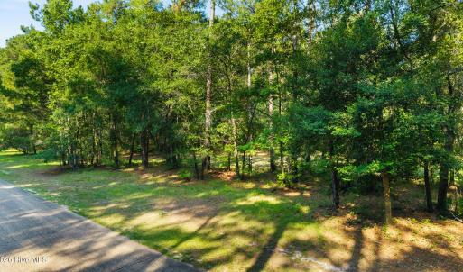 Photo #1 of 230 River Woods, Wallace, NC 0.8 acres