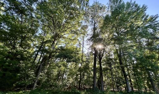 Photo #20 of 116 American Legion, Rockingham, NC 2.5 acres