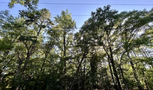 Photo #12 of 112 American Legion, Rockingham, NC 2.6 acres