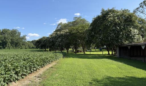 Photo #6 of 3085 Fire Dept, Williamston, NC 50.0 acres