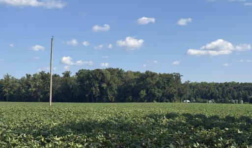Photo #12 of 3085 Fire Dept, Williamston, NC 50.0 acres