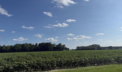 Photo #15 of 3085 Fire Dept, Williamston, NC 50.0 acres