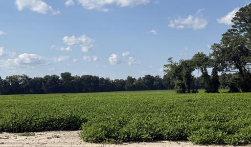 Photo #17 of 3085 Fire Dept, Williamston, NC 50.0 acres