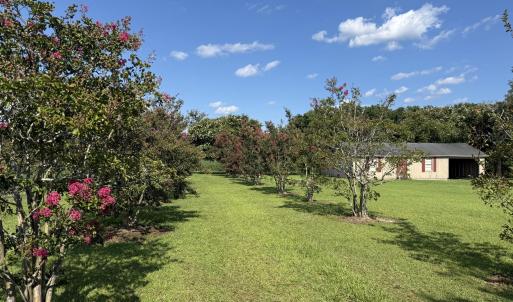 Photo #1 of 3085 Fire Dept, Williamston, NC 50.0 acres