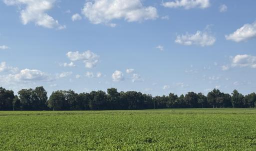 Photo #18 of 3085 Fire Dept, Williamston, NC 50.0 acres