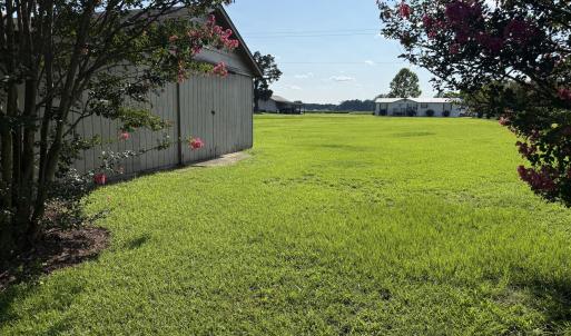 Photo #4 of 3085 Fire Dept, Williamston, NC 50.0 acres