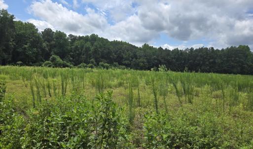 Photo #15 of Ballard, Williamston, NC 57.0 acres