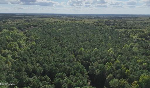 Photo #14 of Ballard, Williamston, NC 57.0 acres