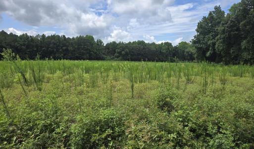 Photo #16 of Ballard, Williamston, NC 57.0 acres