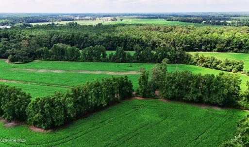 Photo #9 of 464 Washboard, Mount Olive, NC 59.7 acres