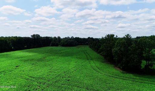 Photo #7 of 464 Washboard, Mount Olive, NC 59.7 acres