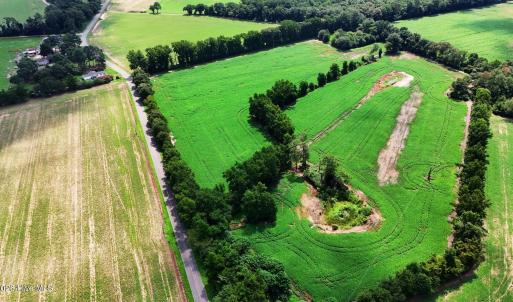 Photo #5 of 464 Washboard, Mount Olive, NC 59.7 acres