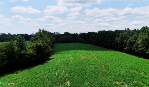 Photo #8 of 464 Washboard, Mount Olive, NC 59.7 acres