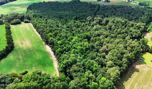 Photo #4 of 464 Washboard, Mount Olive, NC 59.7 acres