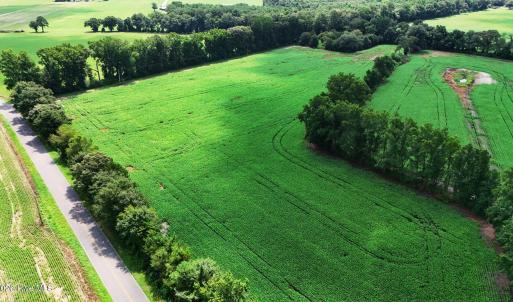 Photo #10 of 464 Washboard, Mount Olive, NC 59.7 acres