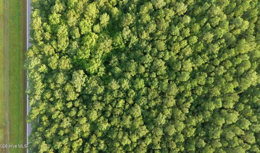 Photo #17 of Ken Trowbridge, Plymouth, NC 5.0 acres