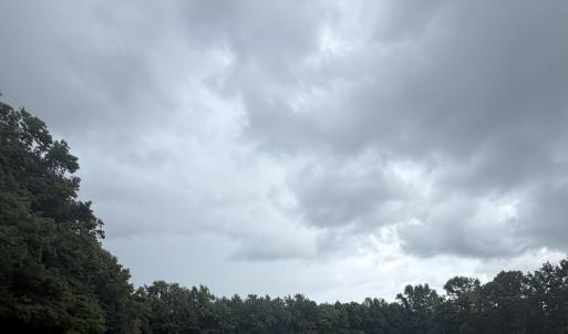 Photo #2 of 0 Sr1001 Cherry Run Road, Washington, NC 13.9 acres