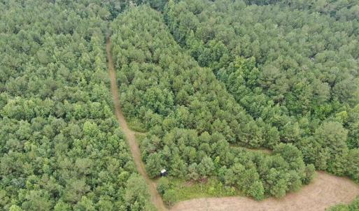 Photo #21 of 359 Roe And Sarah, Clarkton, NC 69.3 acres