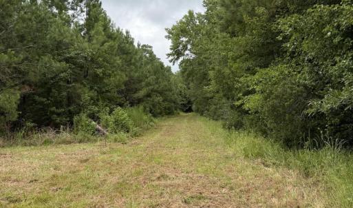 Photo #10 of 359 Roe And Sarah, Clarkton, NC 69.3 acres