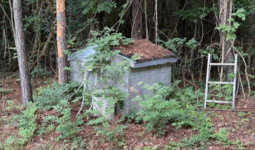 Photo #5 of 359 Roe And Sarah, Clarkton, NC 69.3 acres