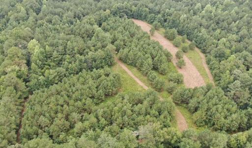 Photo #20 of 359 Roe And Sarah, Clarkton, NC 69.3 acres