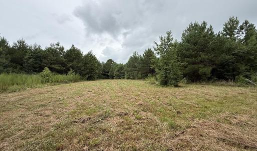 Photo #9 of 359 Roe And Sarah, Clarkton, NC 69.3 acres
